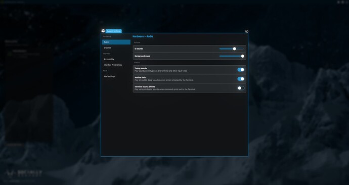 Screenshot of several settings fields. Two audio sliders and three toggle switches are visible. The first slider is partially filled, the second is at maximum. Two out of three of the toggle switches are turned on.